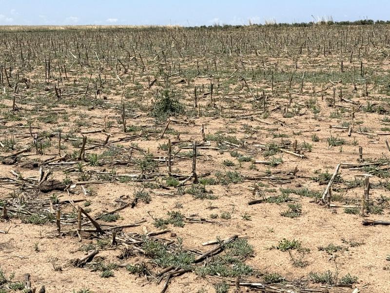 0 Bedroom Property for Sale in Tweeling Free State